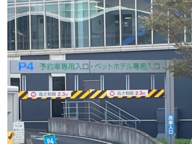 画像に alt 属性が指定されていません。ファイル名: IMG_6533.jpg